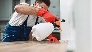 Real Estate Pest Inspections in Shavertown, PA